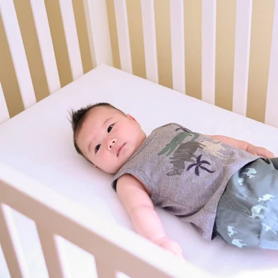 Naturepedic Lullaby Earth Healthy Support Baby Crib & Toddler Mattress 4 Naturepedic Lullaby Earth Healthy Support Baby Crib & Toddler Mattress - Image 2