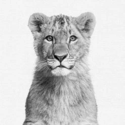 Set Of 8- 11x11 Gallery Square Framed Prints W/ Mats Decorative Wall Art Set - Black And White Jungle Nursery - Americanflat With Mat 13 Set Of 8- 11x11 Gallery Square Framed Prints W/ Mats Decorative Wall Art Set - Black And White Jungle Nursery - Americanflat With Mat -Baby Products GUEST 710eec6d b866 4e9f a3eb 5ca77fcf531c