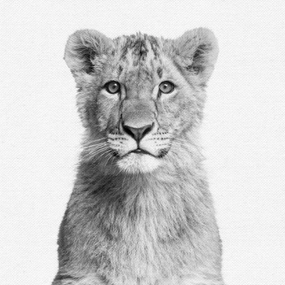 Set Of 8- 11x11 Gallery Square Framed Prints W/ Mats Decorative Wall Art Set - Black And White Jungle Nursery - Americanflat With Mat 6 Set Of 8- 11x11 Gallery Square Framed Prints W/ Mats Decorative Wall Art Set - Black And White Jungle Nursery - Americanflat With Mat - Image 4