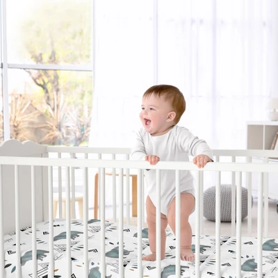 Sweet Jojo Designs Fitted Crib Sheet - Bear Mountain 3 Sweet Jojo Designs Fitted Crib Sheet - Bear Mountain