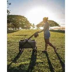 Baby Trend Expedition 2-in-1 Stroller Wagon -Baby Products GUEST 9e292634 6bc4 4694 aa6e 097d23be7602