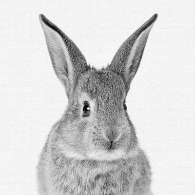 Set Of 8- 11x11 Gallery Square Framed Prints W/ Mats Decorative Wall Art Set - Black And White Jungle Nursery - Americanflat With Mat 5 Set Of 8- 11x11 Gallery Square Framed Prints W/ Mats Decorative Wall Art Set - Black And White Jungle Nursery - Americanflat With Mat - Image 3