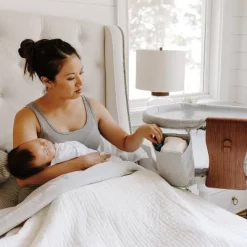 HALO Innovations BassiNest Swivel Sleeper Luxe - Dove Gray Tweed -Baby Products GUEST c72d9639 9c0a 4288 a937 a4bbe7b76409